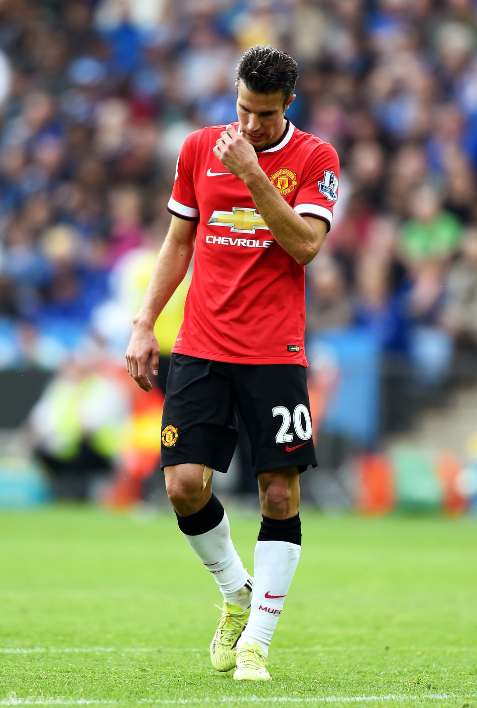 为对对手容 为对对手容